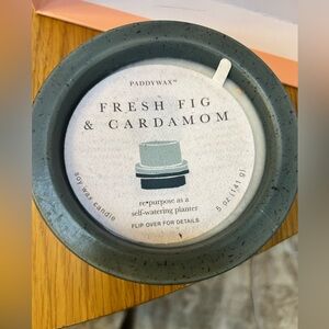 Paddywax Fresh Fig & Cardamom Candle - can turn into planter after burn